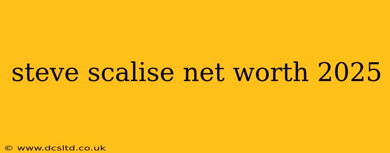 steve scalise net worth 2025