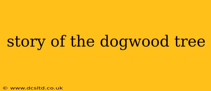 story of the dogwood tree