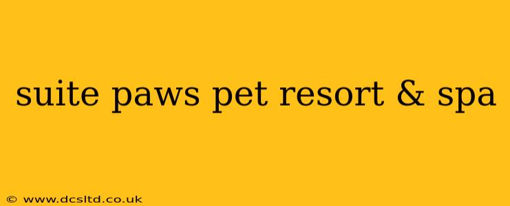 suite paws pet resort & spa