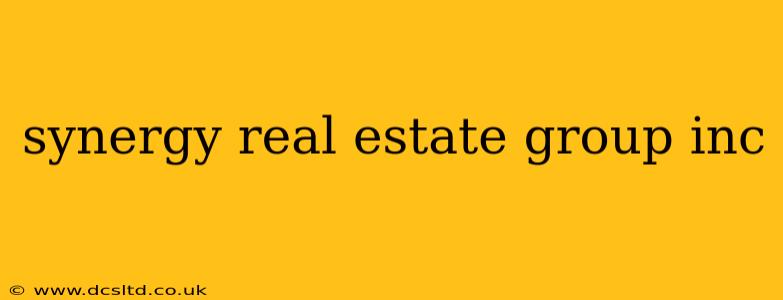 synergy real estate group inc