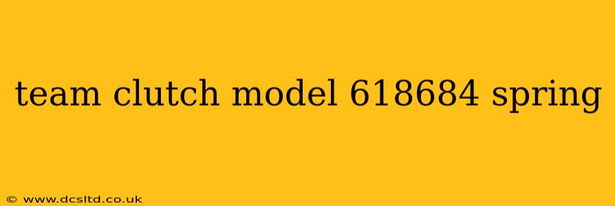 team clutch model 618684 spring