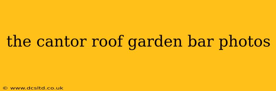 the cantor roof garden bar photos