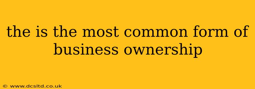 the is the most common form of business ownership