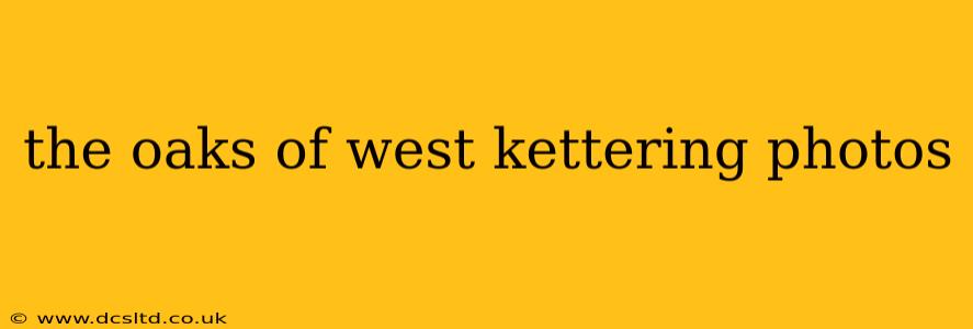 the oaks of west kettering photos