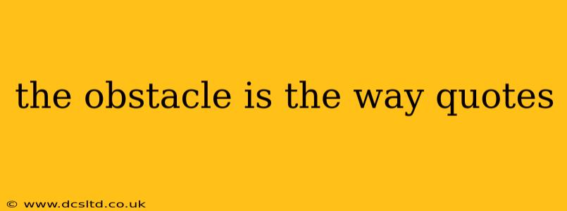 the obstacle is the way quotes