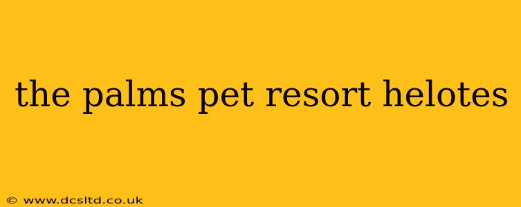 the palms pet resort helotes