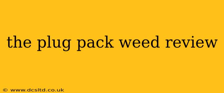 the plug pack weed review
