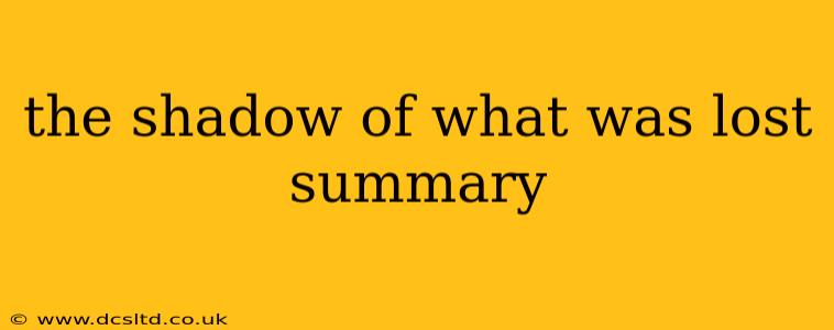 the shadow of what was lost summary