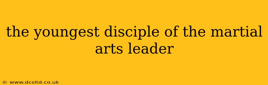 the youngest disciple of the martial arts leader