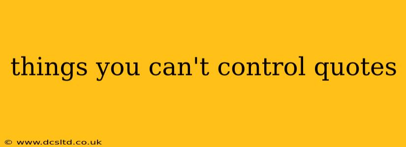 things you can't control quotes