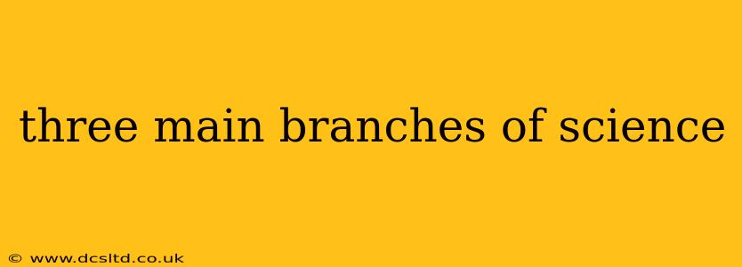 three main branches of science