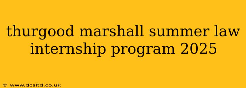 thurgood marshall summer law internship program 2025