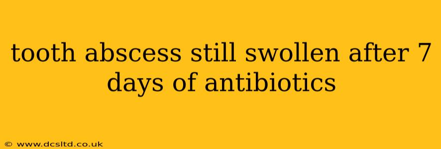 tooth abscess still swollen after 7 days of antibiotics