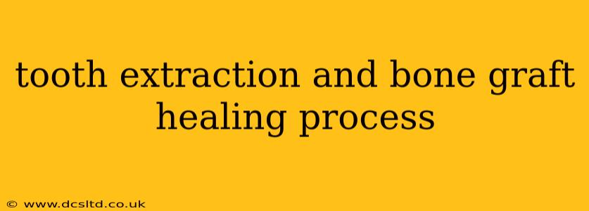 tooth extraction and bone graft healing process