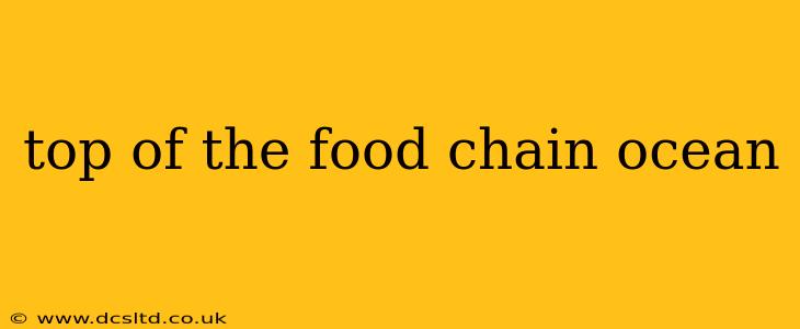 top of the food chain ocean