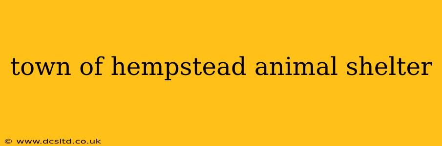 town of hempstead animal shelter