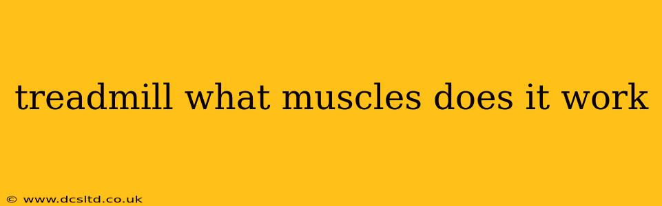 treadmill what muscles does it work