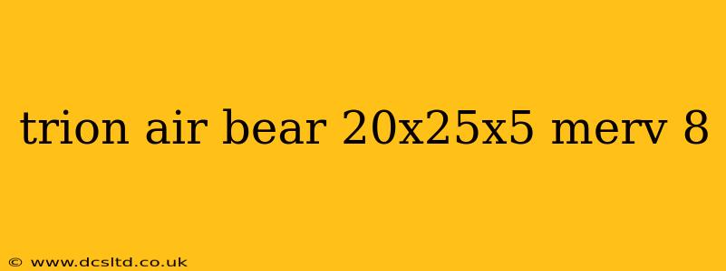 trion air bear 20x25x5 merv 8