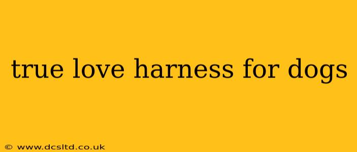 true love harness for dogs