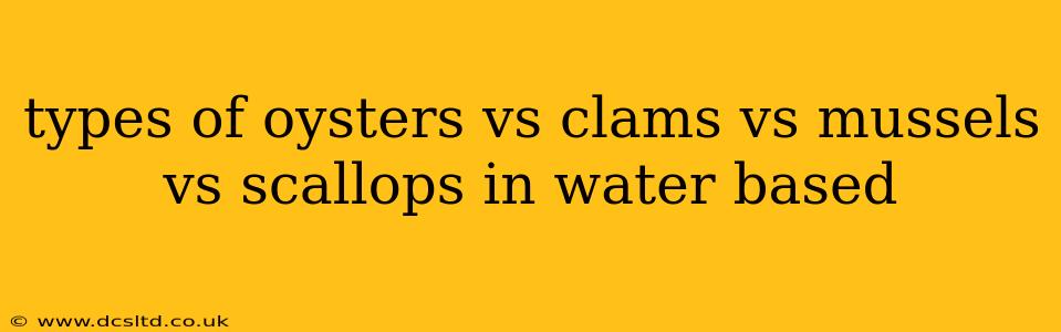 types of oysters vs clams vs mussels vs scallops in water based