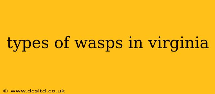 types of wasps in virginia