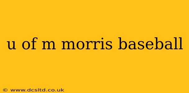 u of m morris baseball