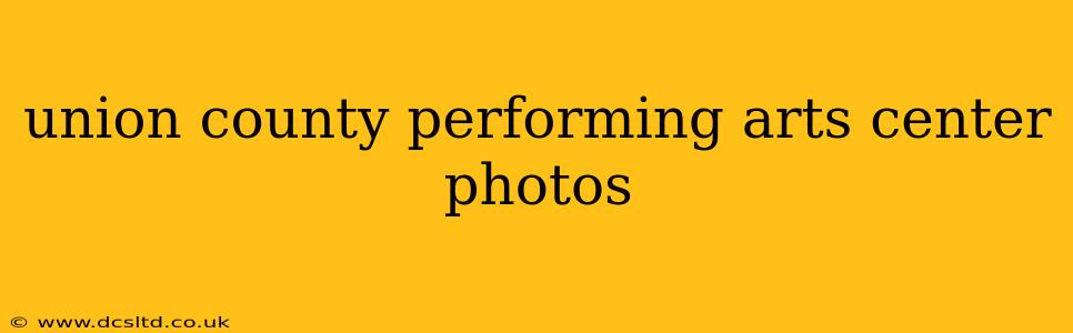 union county performing arts center photos