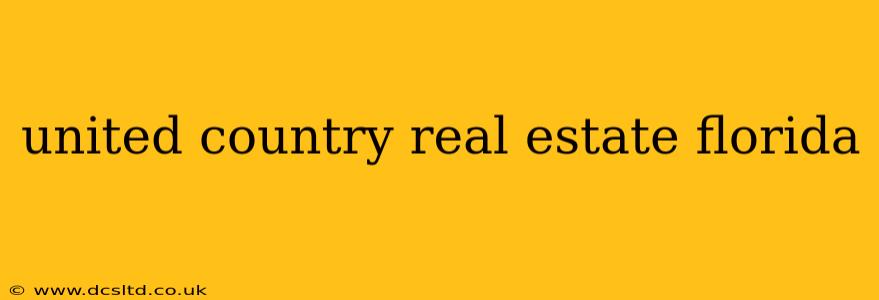 united country real estate florida