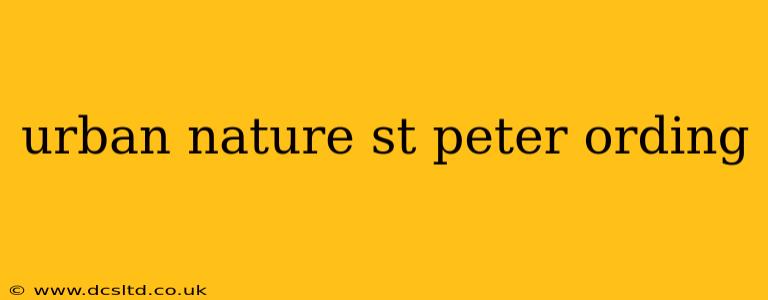 urban nature st peter ording
