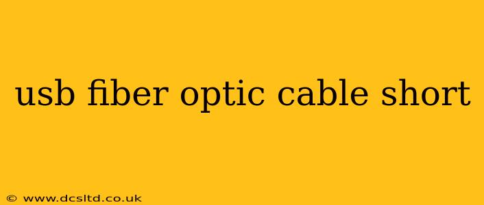 usb fiber optic cable short