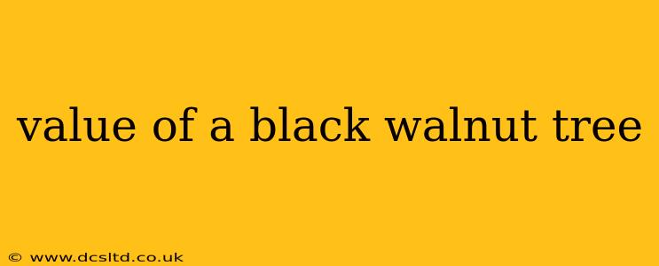 value of a black walnut tree