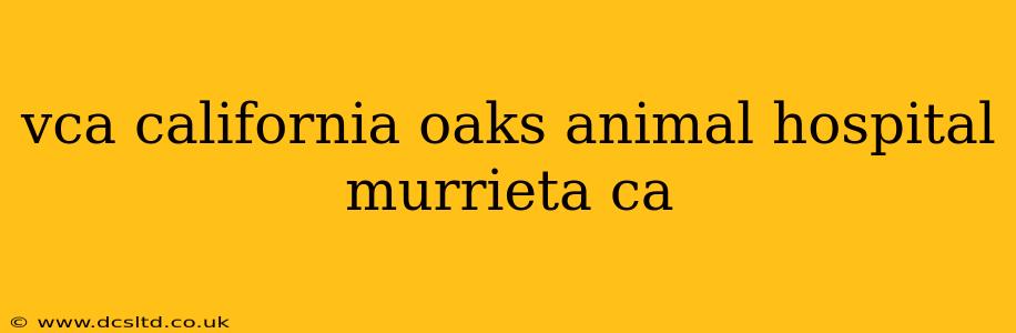 vca california oaks animal hospital murrieta ca