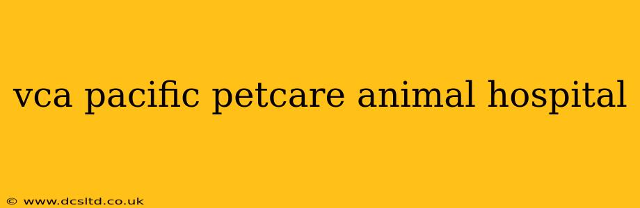 vca pacific petcare animal hospital