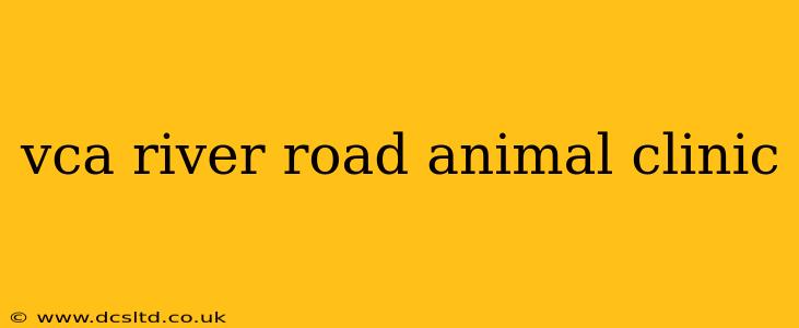 vca river road animal clinic