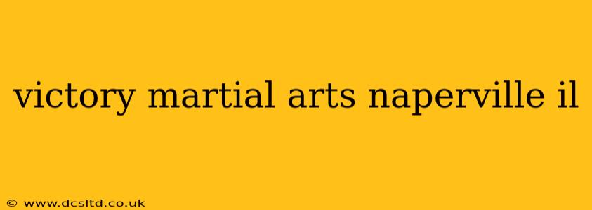 victory martial arts naperville il