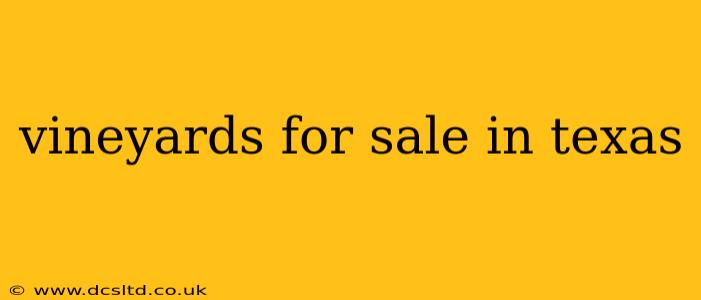 vineyards for sale in texas