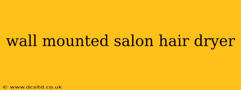 wall mounted salon hair dryer