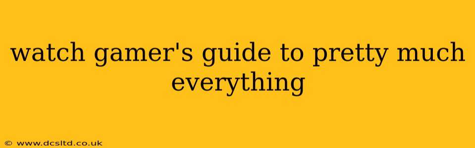 watch gamer's guide to pretty much everything