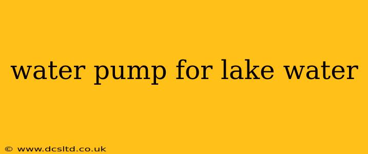 water pump for lake water