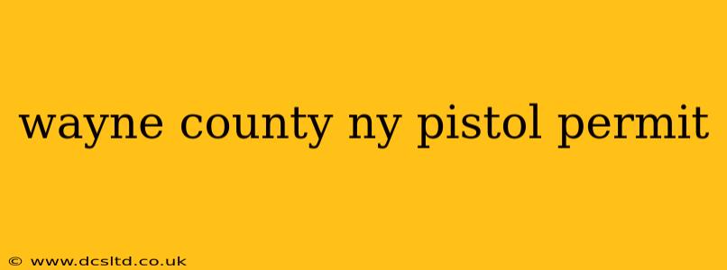 wayne county ny pistol permit
