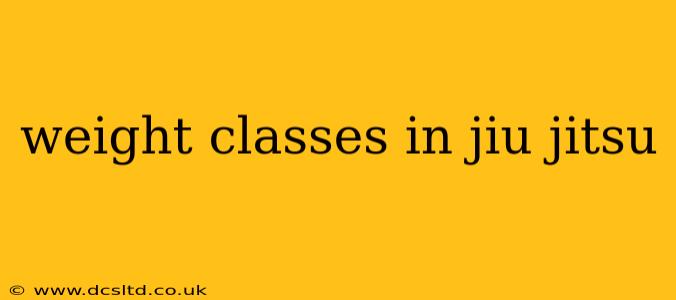 weight classes in jiu jitsu