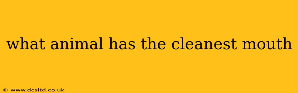 what animal has the cleanest mouth