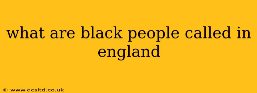 what are black people called in england