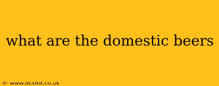 what are the domestic beers