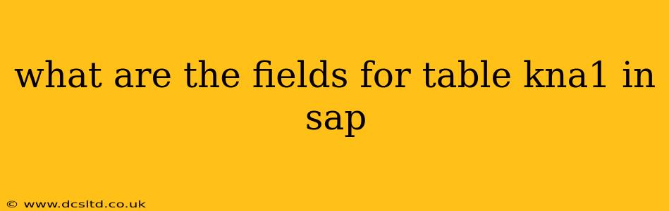 what are the fields for table kna1 in sap