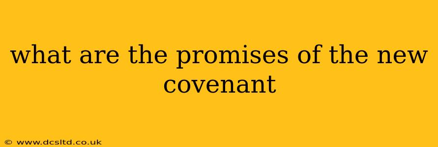 what are the promises of the new covenant
