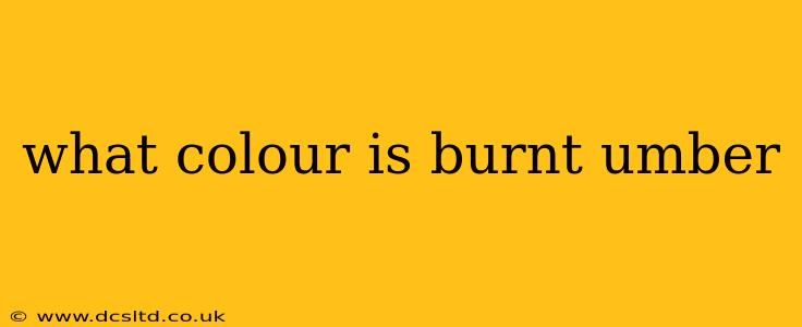 what colour is burnt umber