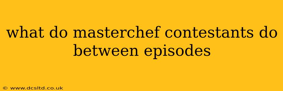 what do masterchef contestants do between episodes