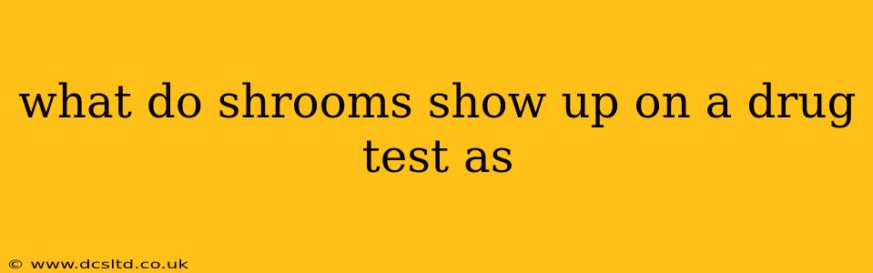 what do shrooms show up on a drug test as