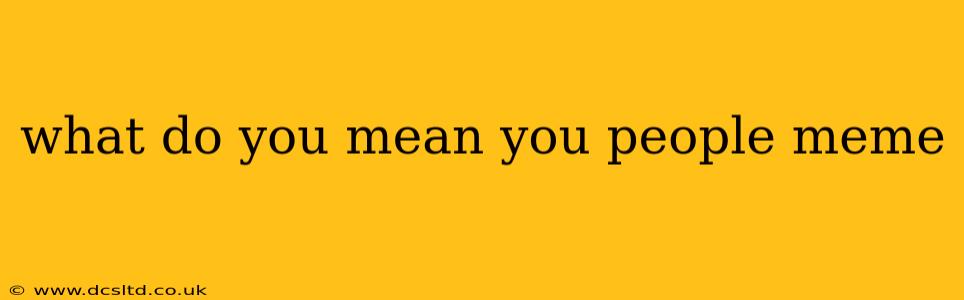 what do you mean you people meme